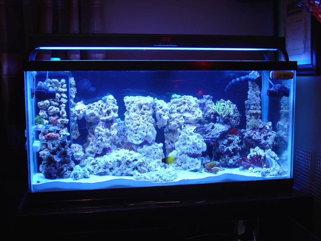 FTS10Jan11